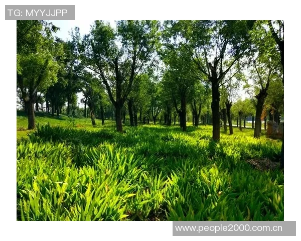 比克斯塔夫称赞艾维表现出色期待他未来更强劲的进步